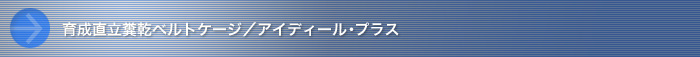 琬xgP[W^ACfB[EvX